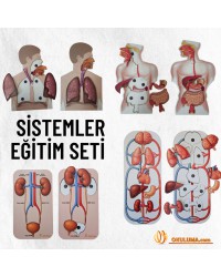 Sistemler Ahşap Eğitim Seti