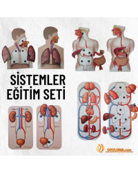 Sistemler Ahşap Eğitim Seti