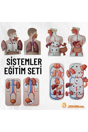 Sistemler Ahşap Eğitim Seti…