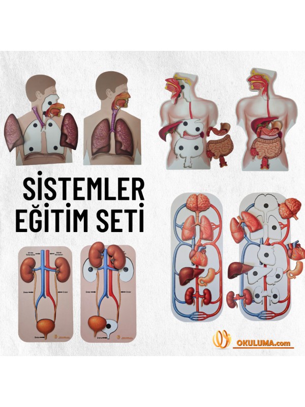 Sistemler Ahşap Eğitim Seti… Sistemler Ahşap Eğitim Seti…
