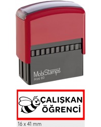 Çalışkan Öğrenci Öğretmen Kaşesi 